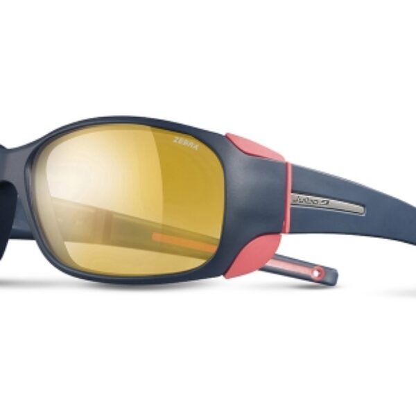 Julbo Monterosa Zebra
