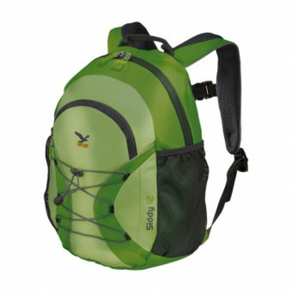 SALEWA Siddy 12L grün