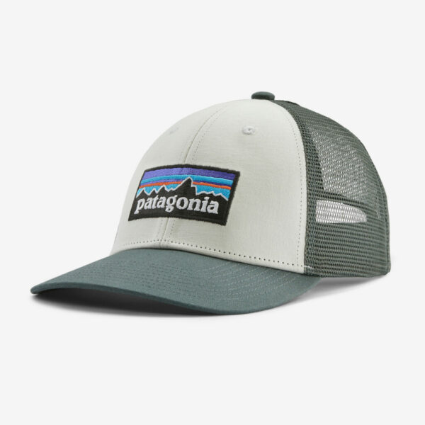 Patagonia P-6 Logo LoPro Trucker Hat